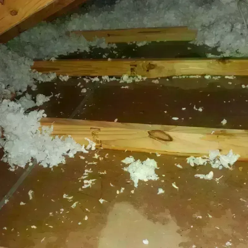 Attic Water Damage in New York Mills, MN